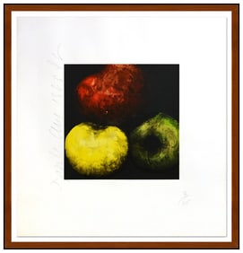 Donald Sultan Apples Color Screenprint Hand Signed Still Life Food Framed Art