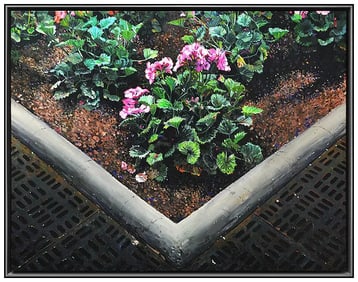 Idelle Weber Large Original Floral Oil Painting Signed Framed Canvas