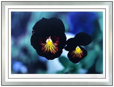 Ernst Haas Pansies Colorado Dye Transfer Photograph Signed Flower Framed Art
