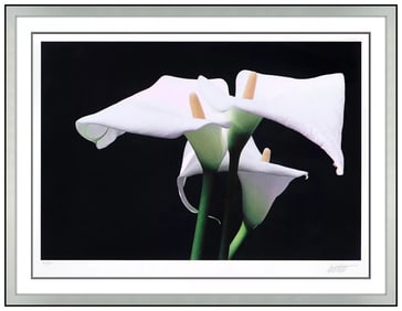 Ernst Haas Calla Lily Flower Dye Transfer Photo Signed Munich Framed Original Art