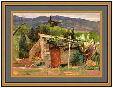 Douglas Ferrin Mountain Landscape Oil Painting on Canvas Signed Framed Artwork