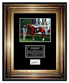Secretariat Triple Crown Horse Racing Hair Lock Big Red Charity Framed Art
