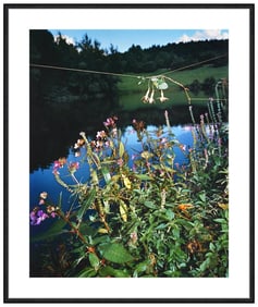 Collier Schorr Signed Archival Pigment Photograph Arrangement #6 Floral Art