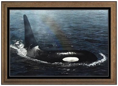 Terry Isaac Signed Large Acrylic Nature Orca Painting on Board Framed Art