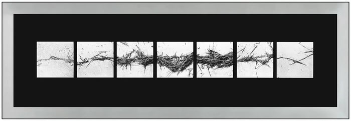 Barbara Crane Signed Original Repeats Silver Gelatin Still Life Photo Framed