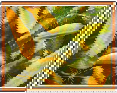 Clarence Measelle Large Original Acrylic Painting On Canvas Signed Framed Art: This lot includes:Gallery COA & free domestic shipping (*insurance and international shipping for an additional charge)Artist: Clarence MeaselleTitle: Autumn’s DanceMedium: Acrylic Painting On Canva