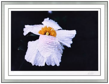 Ernst Haas Signed Original Dye Transfer Cosmos California Flower Photo Framed