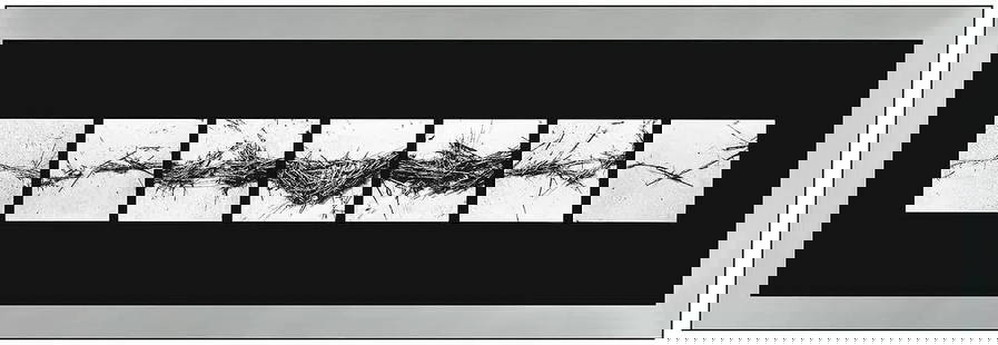Barbara Crane Signed Original Repeats Silver Gelatin Still Life Photo Framed: This lot includes:Gallery COA & inhouse shipping (*insurance and international shipping for an additional charge)Artist: Barbara CraneTitle: RepeatsMedium: Silver GelatinFramed: 6&rdquo; x 20&rdquo;Si