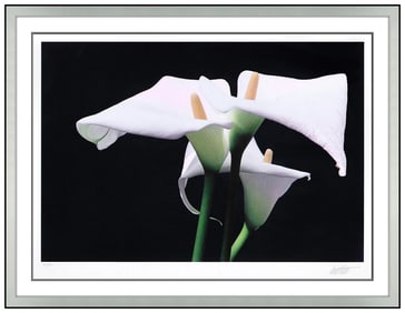 Ernst Haas Original Dye Transfer Photograph Calla Lily Munich Signed Framed Flower Art