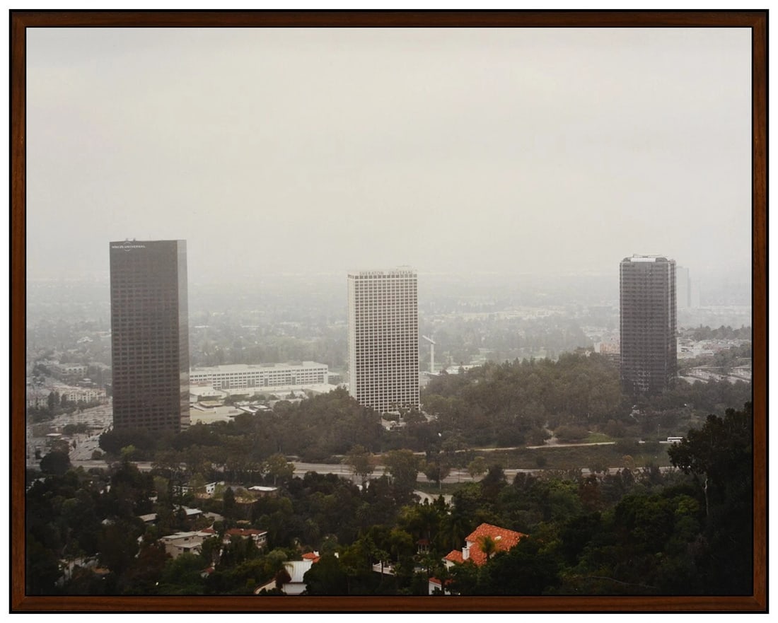 Elad Lassry Original C Print Photograph Landscape 9160 Signed Authentic Framed Artwork: This lot includes:Gallery COA & in-house shipping (*insurance and international shipping for an additional charge)Artist: Elad LassryTitle: Landscape 91608Medium: C-Print PhotographSize: 11 ½&r