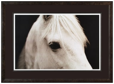 John Maggiotto Large Hand Signed Giclee Horse Eye Animal Portrait Framed Artwork
