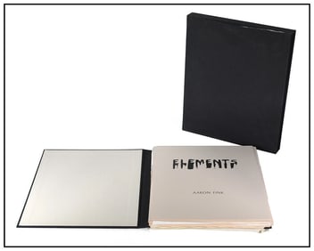 Aaron Fink Original Elements Portfolio Set of 25 Prints Figures Still Life Signed Artwork