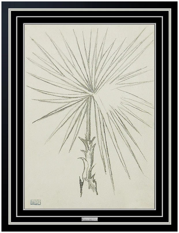 Joseph Stella Rare Original Charcoal Flower Drawing Authentic Art (1 of 5)