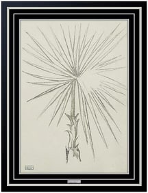 Joseph Stella Original Charcoal Drawing Flower Still Life Signed Artwork