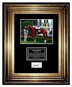 Secretariat Triple Crown Winner Horse Racing Hair Lock Big Red Framed Charity
