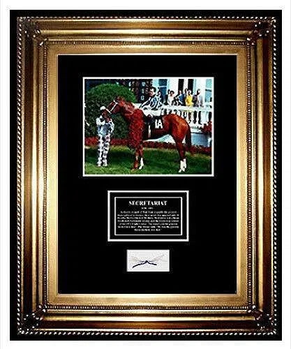 Secretariat Triple Crown Winner Horse Racing Hair Lock Charity Framed Memorabilia (1 of 6)