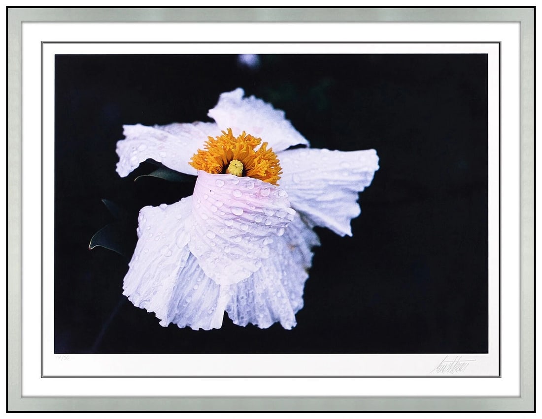 Ernst Haas Original Dye Transfer Photograph Cosmos California Flower Signed Framed Art: This lot includes:Gallery COA. In-house shipping available (insurance and international shipping for an additional charge).Artist: Ernest HaasTitle: Cosmos CaliforniaMedium: Dye Transfer PrintSize: 13