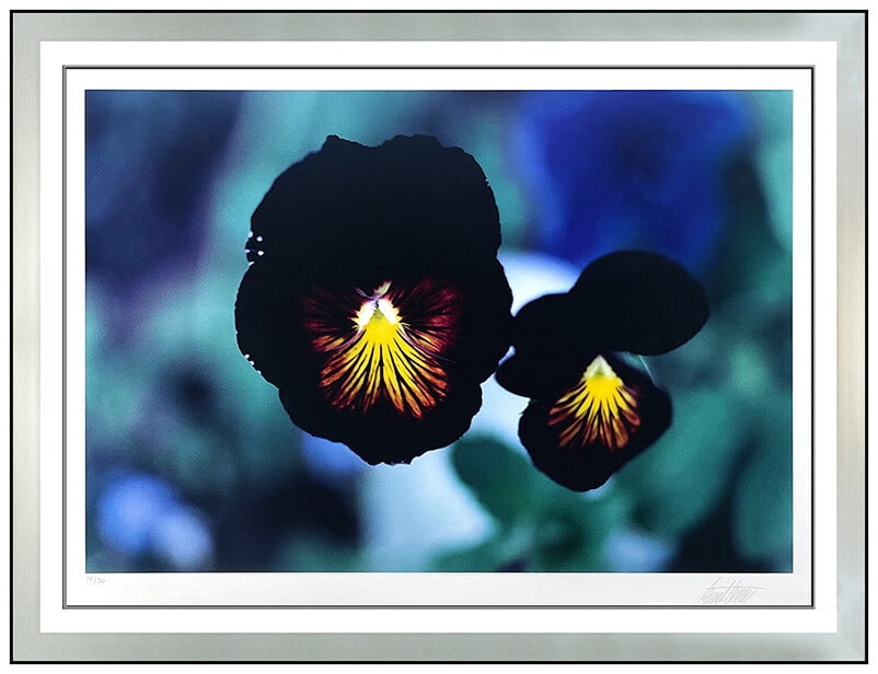 Ernst Haas Original Dye Transfer Photograph Signed Pansies Colorado Framed Art: This lot includes:Gallery COA. In-house shipping available (insurance and international shipping for an additional charge).Artist: Ernst HaasTitle: Pansies, ColoradoMedium: Dye Transfer PhotoSize: 15"