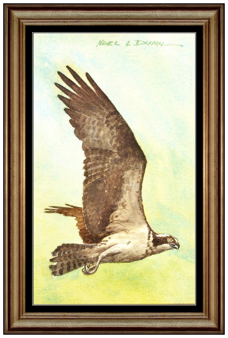 Noel L Dunn Original Watercolor Painting Signed Hawk Bird Wildlife Framed Art (1 of 4)