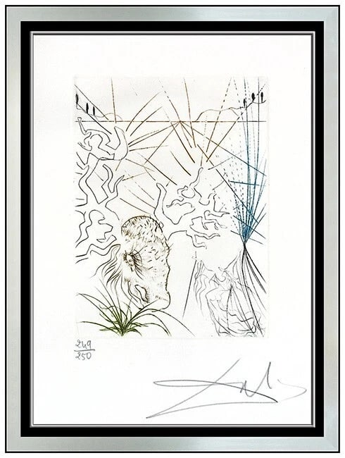 Salvador Dali Original Etching The Merry Wives Of Windsor Hand Signed Framed Art (1 of 5)