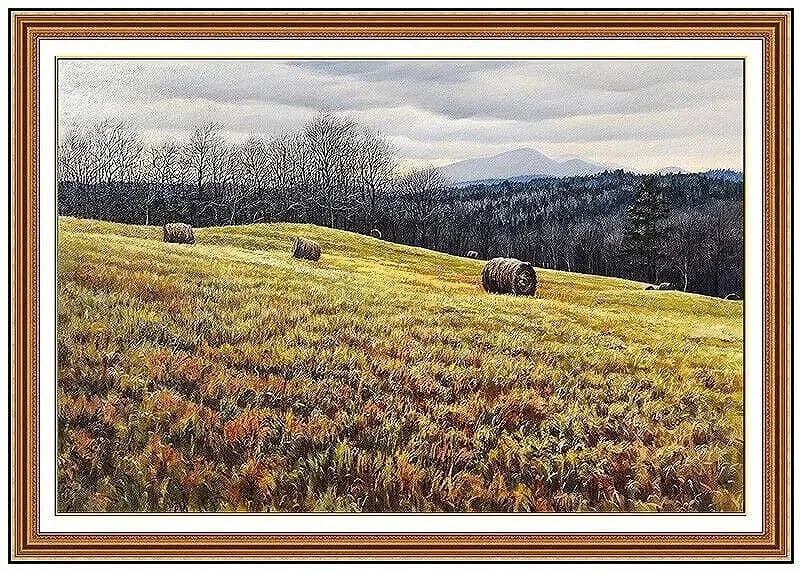Brian Kliewer Original Oil Painting On Canvas Signed Rural Landscape Framed Art (1 of 5)