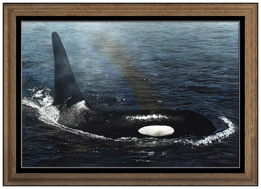 Terry Isaac Large Original Acrylic Painting On Board Signed Orca Wildlife Art (1 of 5)