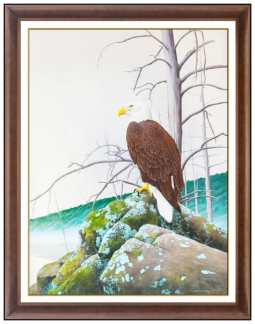 Michael Riddet Original Acrylic Painting On Board Signed Bald Eagle Wildlife Art (1 of 5)