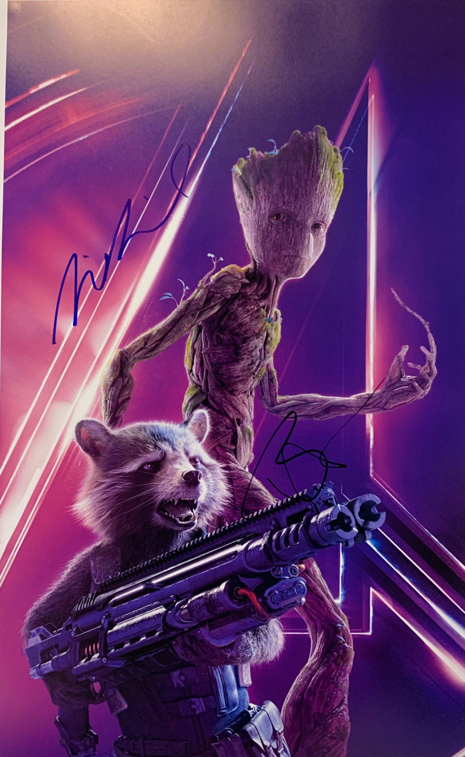 Autograph Signed Avengers Endgame Vin Diesel Poster (1 of 1)