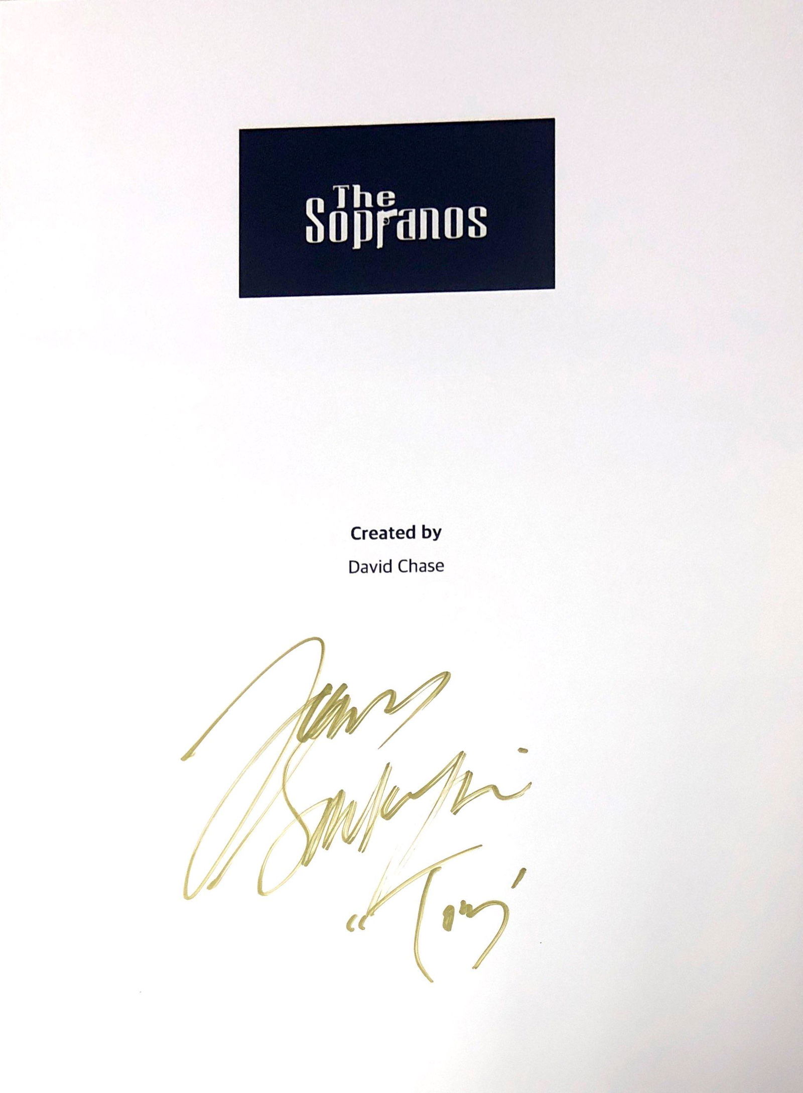 Autograph Signed Sopranos Script Cover (1 of 1)