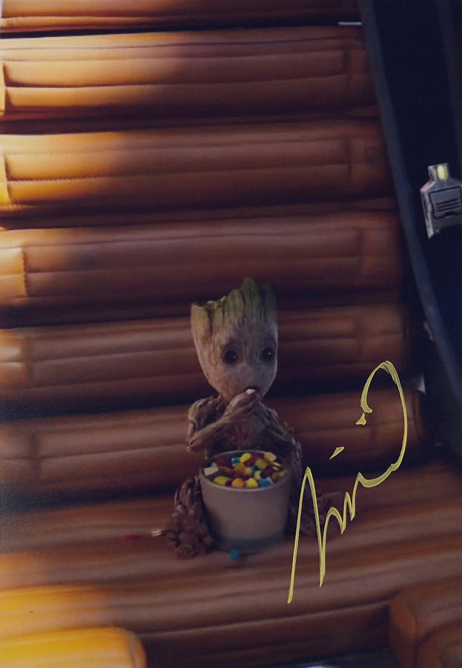Guardians of the Galaxy Photo Vin Diesel Autographed: Category: Autograph Photo CollectiblesUnframed Vertified and Excellent Condition Please kindly read our Terms and Conditions before bidding.Autographed by:Vin DieselSize : 8"x10"