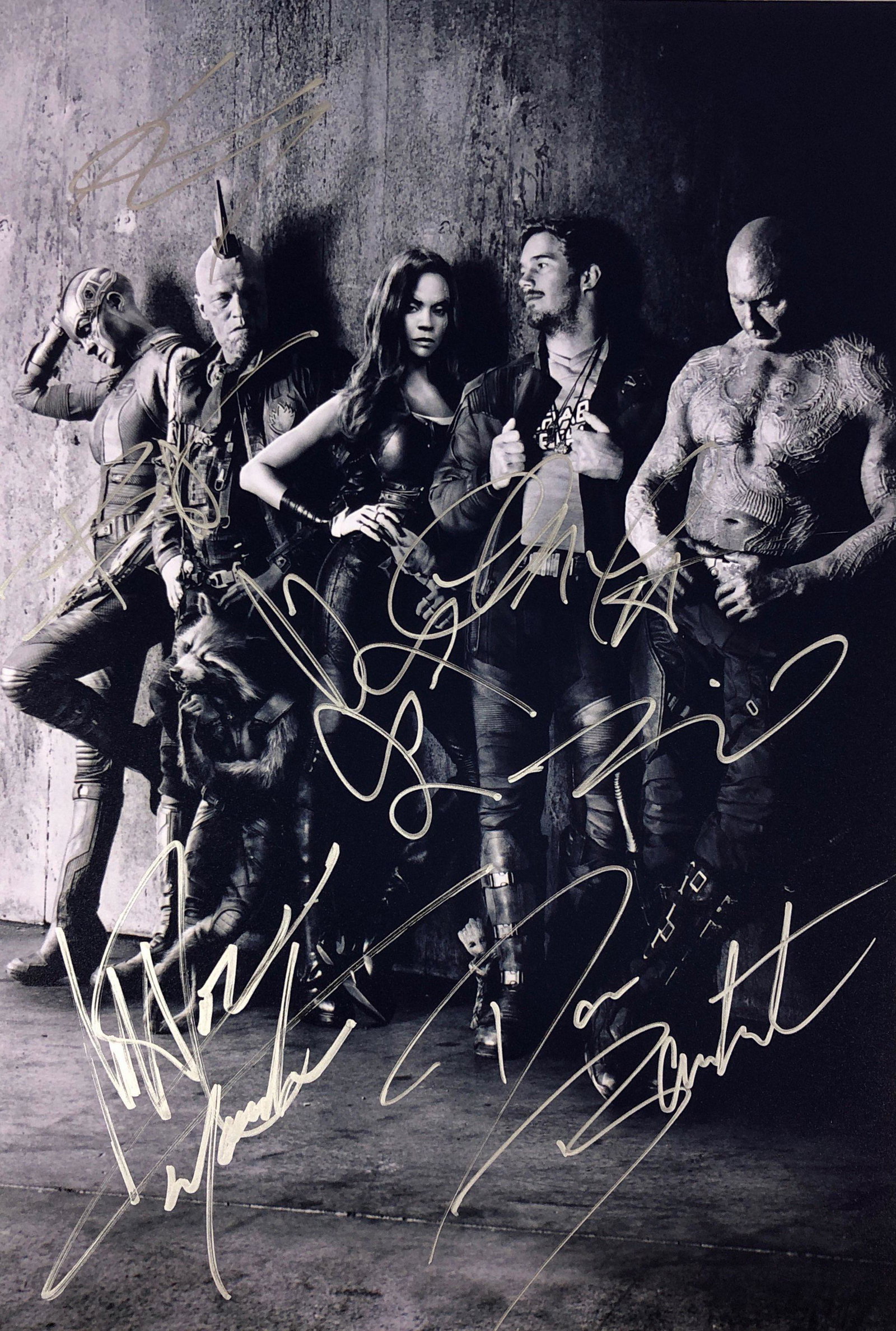 Guardians of Galaxy Photo Chris Pratt Zoe Saldana: Category: Autograph Photo CollectiblesUnframed Vertified and Excellent Condition Please kindly read our Terms and Conditions before bidding.Autographed by:Vin Diesel, Bradley Cooper, Karen Gillan, Dav