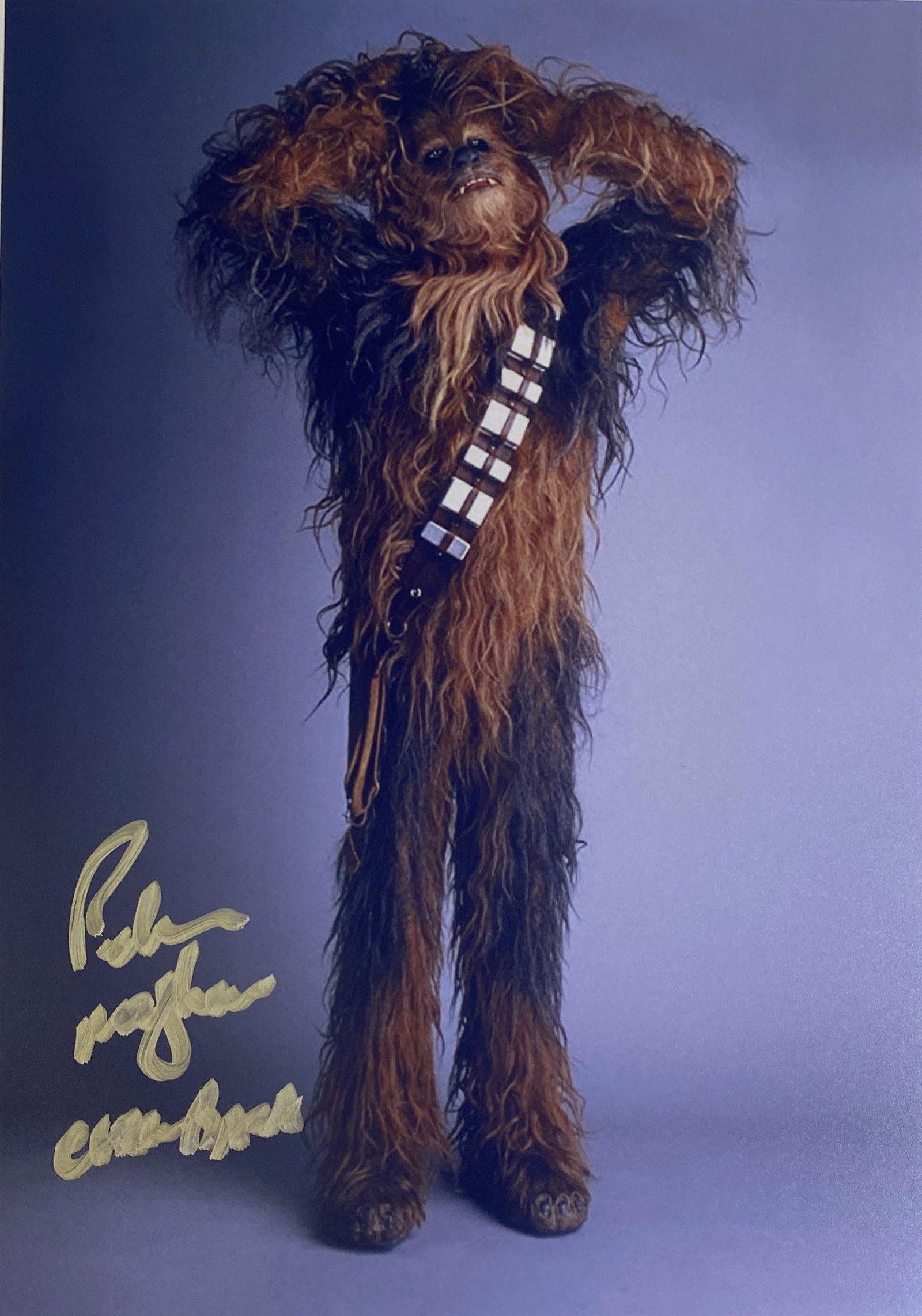 Signed Star Wars Peter Mayhew Photo (1 of 1)