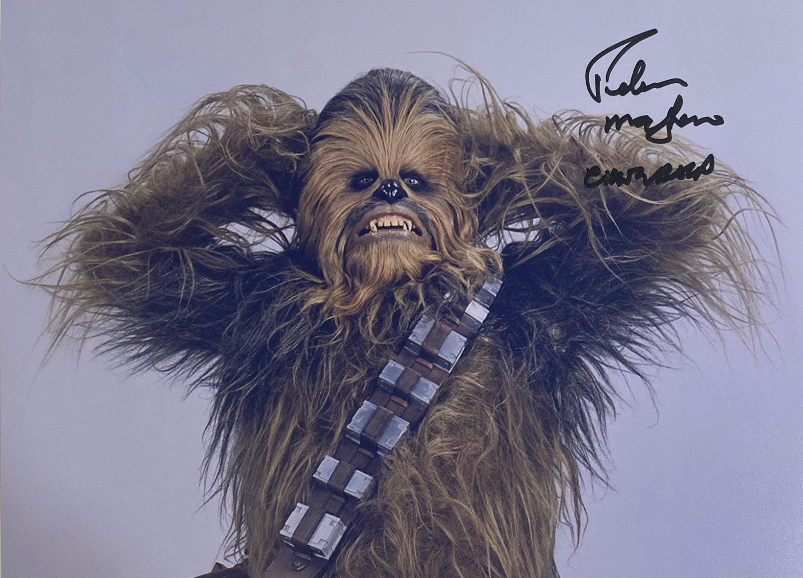 Signed Star Wars Peter Mayhew Photo (1 of 1)