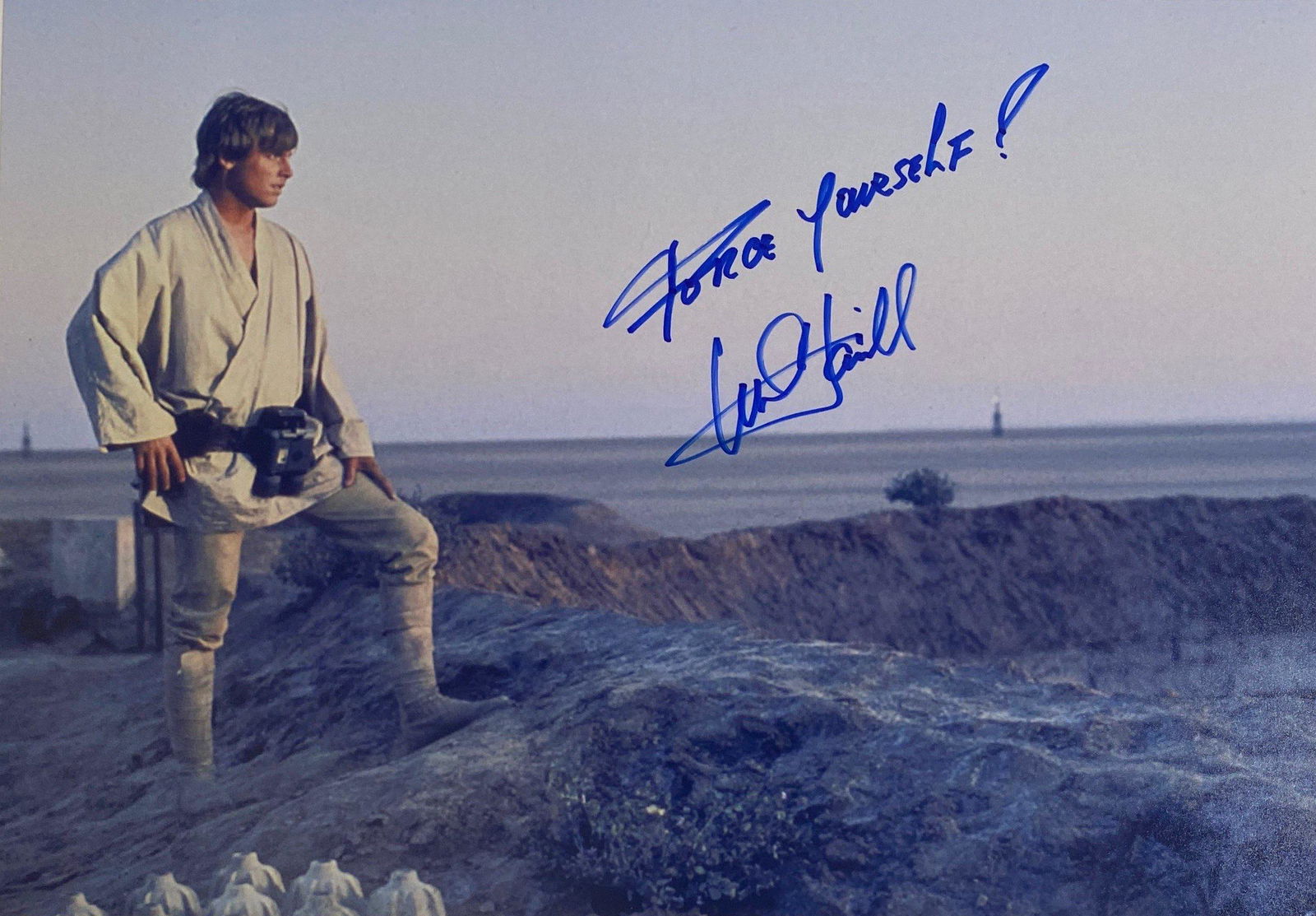 Signed Star Wars Mark Hamill Photo (1 of 1)