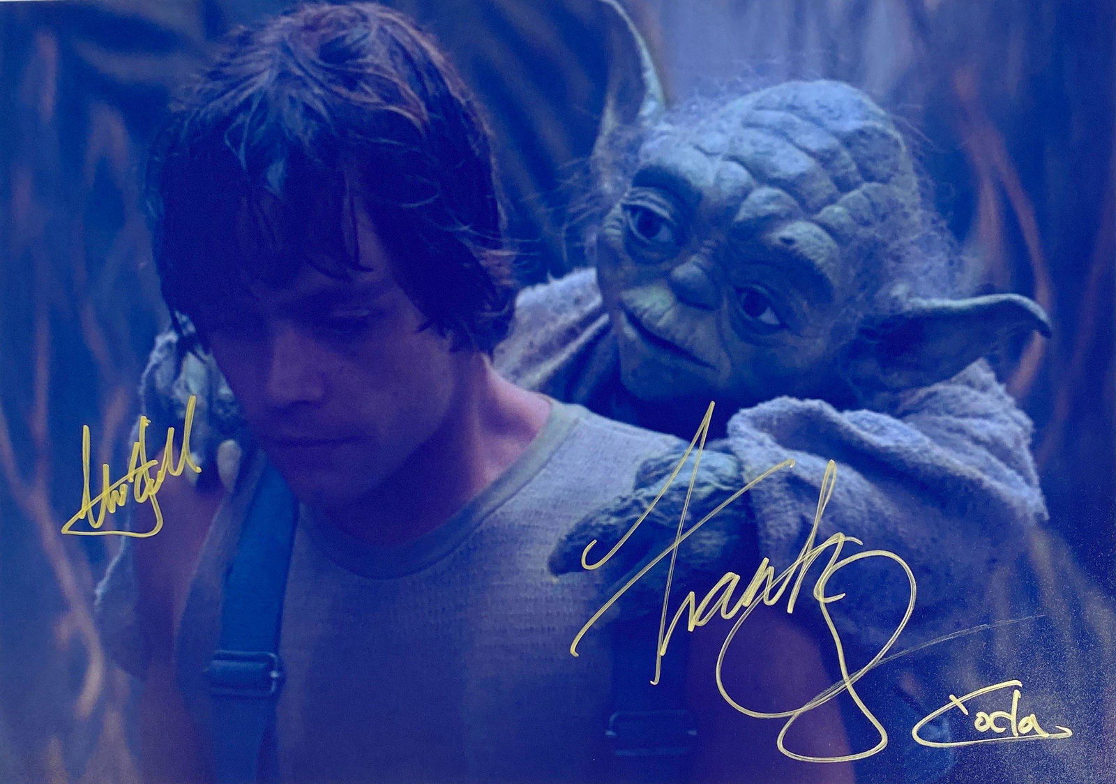 Signed Star Wars Mark Hamill Photo (1 of 1)