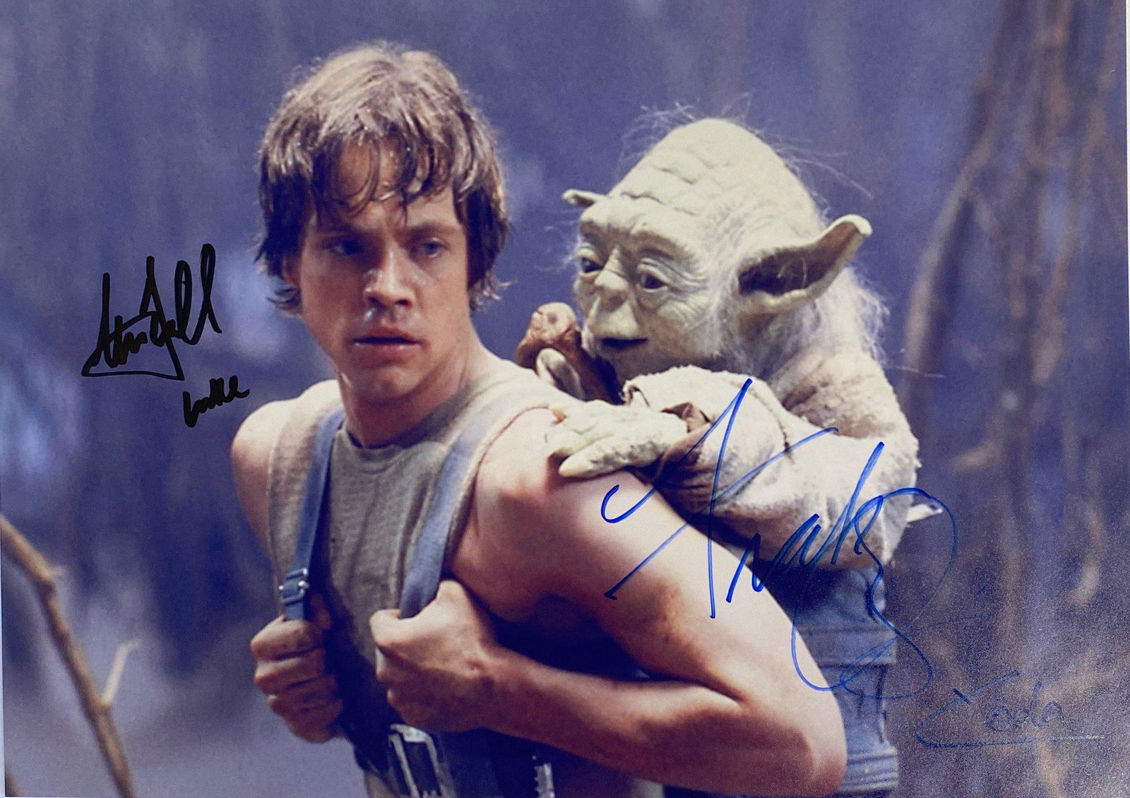 Signed Star Wars Mark Hamill Photo (1 of 1)