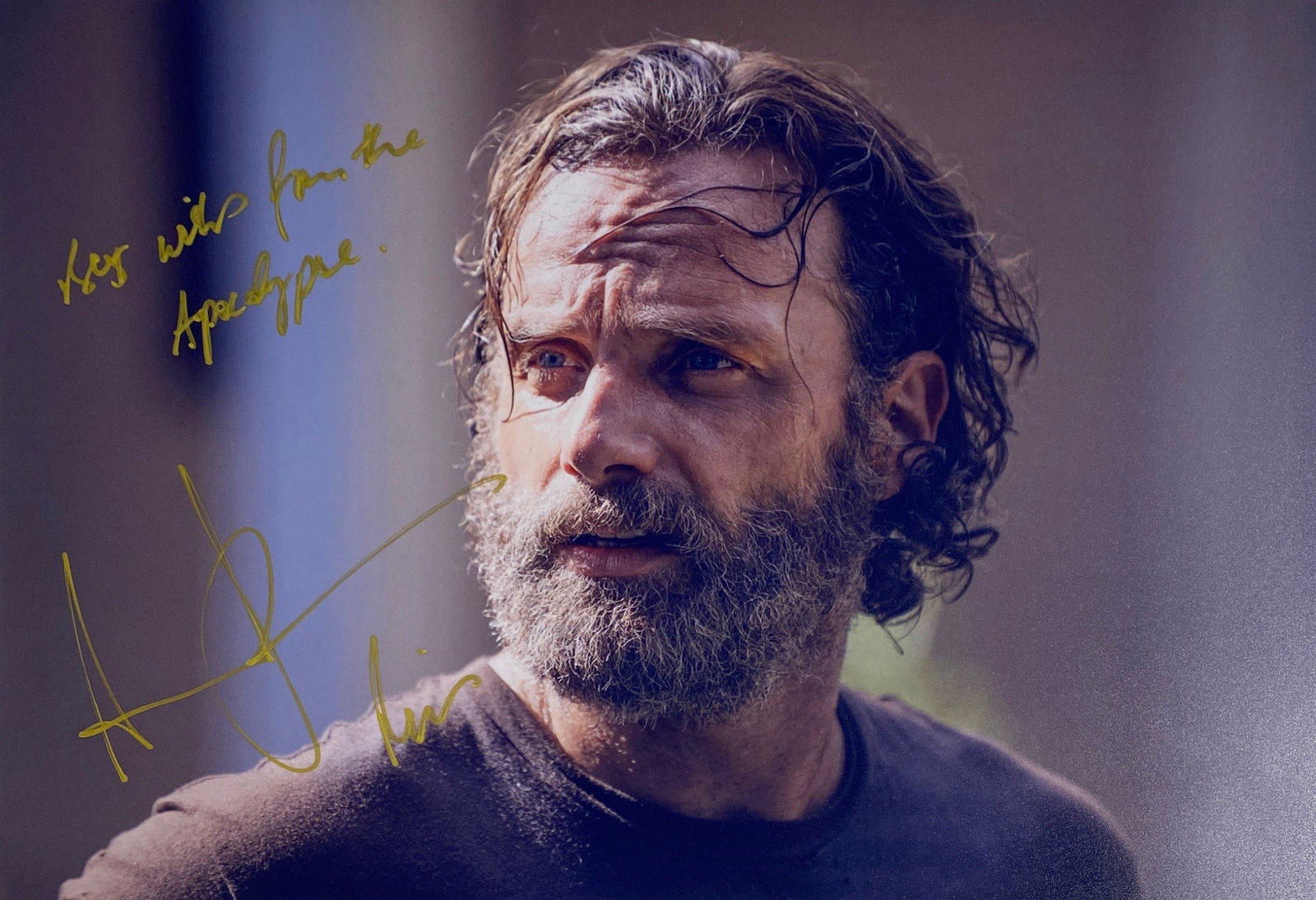 Autograph Signed Andrew Lincoln Photo (1 of 1)