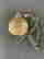 item-106827975=2