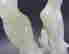item-107001279=6