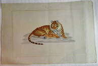 La Roche Laffitte Tiger Original Watercolor on silk