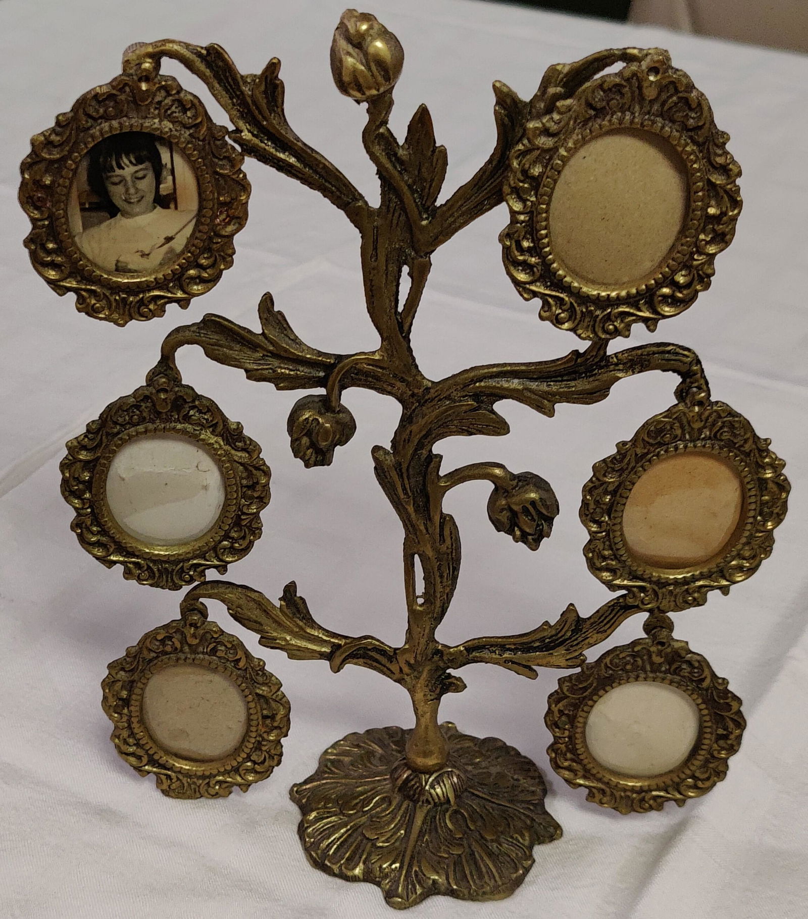 French Gilt Portrait Ornate Brass o bronze tree Frame (1 of 7)