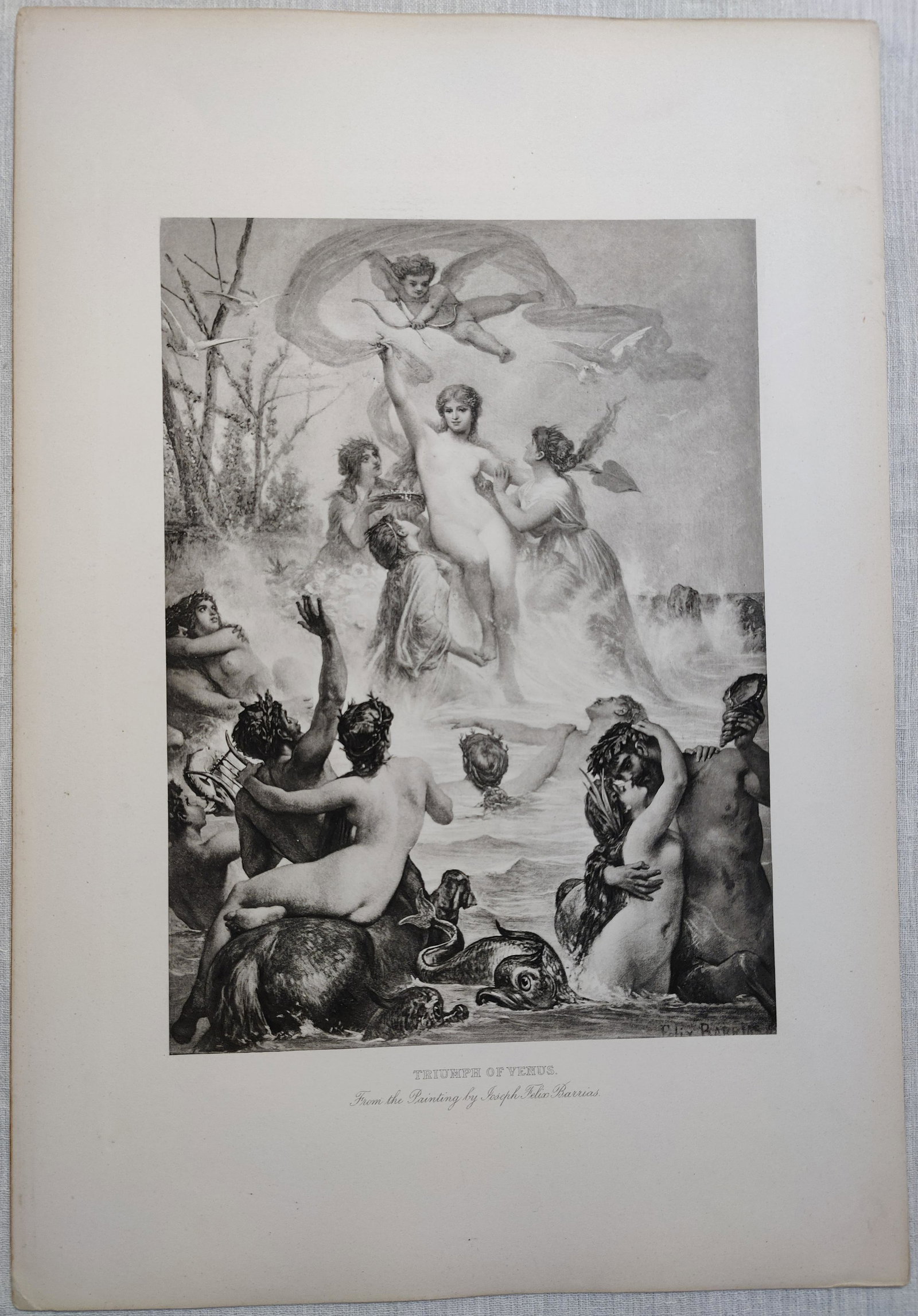 Mythology Etching Triumph Of Venus By Joseph Felix: Mythology Etching Triumph Of Venus From the painting By Joseph Felix Barrias, 11"1/2 X 17", See pictures for condition, (no Frame). HANDLING and SHIPPING, USA $10. INTERNATIONAL SHIPPING, ask for an e