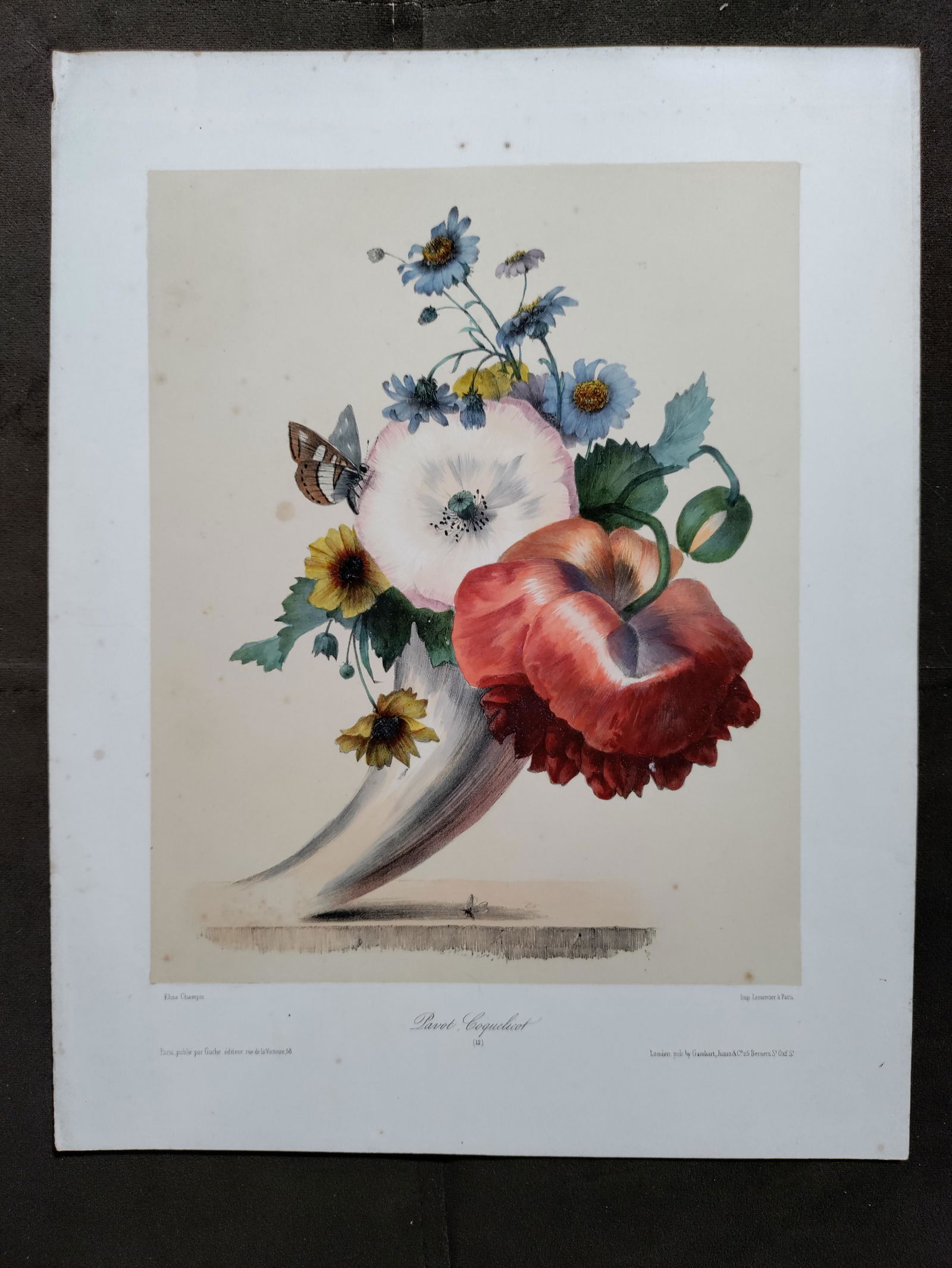 Champin PAVOT french 19th C lithograph (1 of 9)