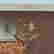item-124907459=5