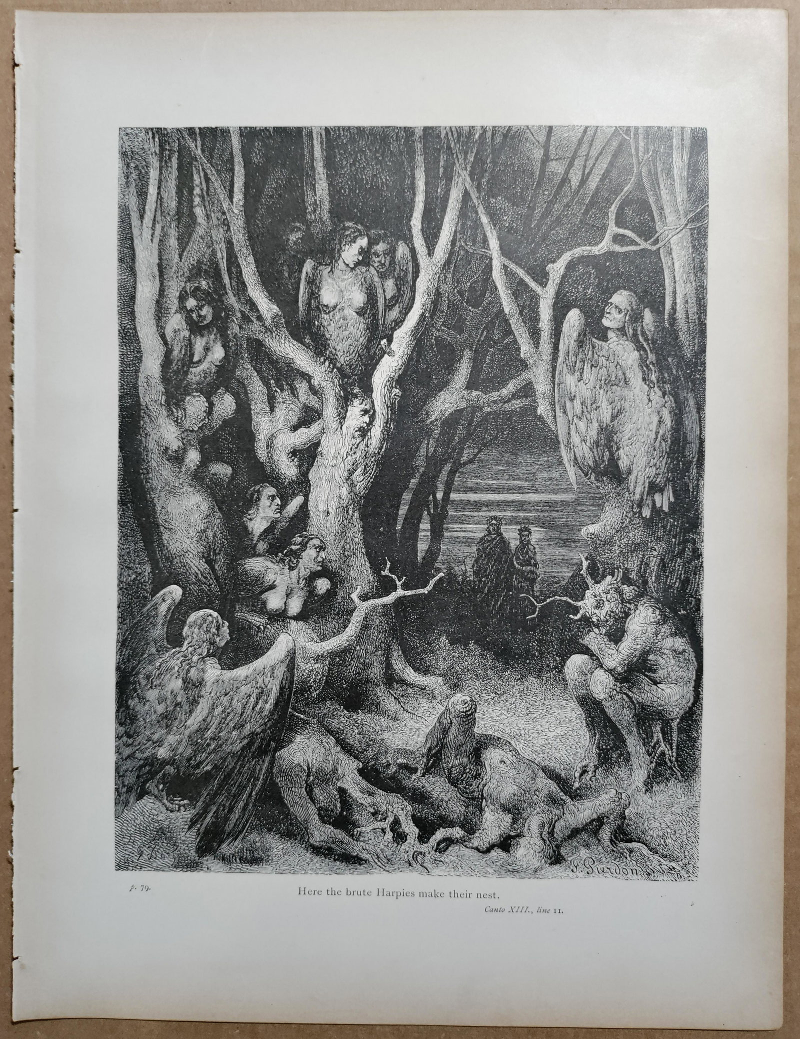 Dante's Inferno - Gustave Dore - Harpies in Forest of Suicides: Dante Alighieri (1265-1321) Inferno.This illustration from Gustave Dore (French, 1832 - 1883) was part of Dante Alighieri's Dante's Inferno (Harpies in the Forest of Suicides), the work was edited by
