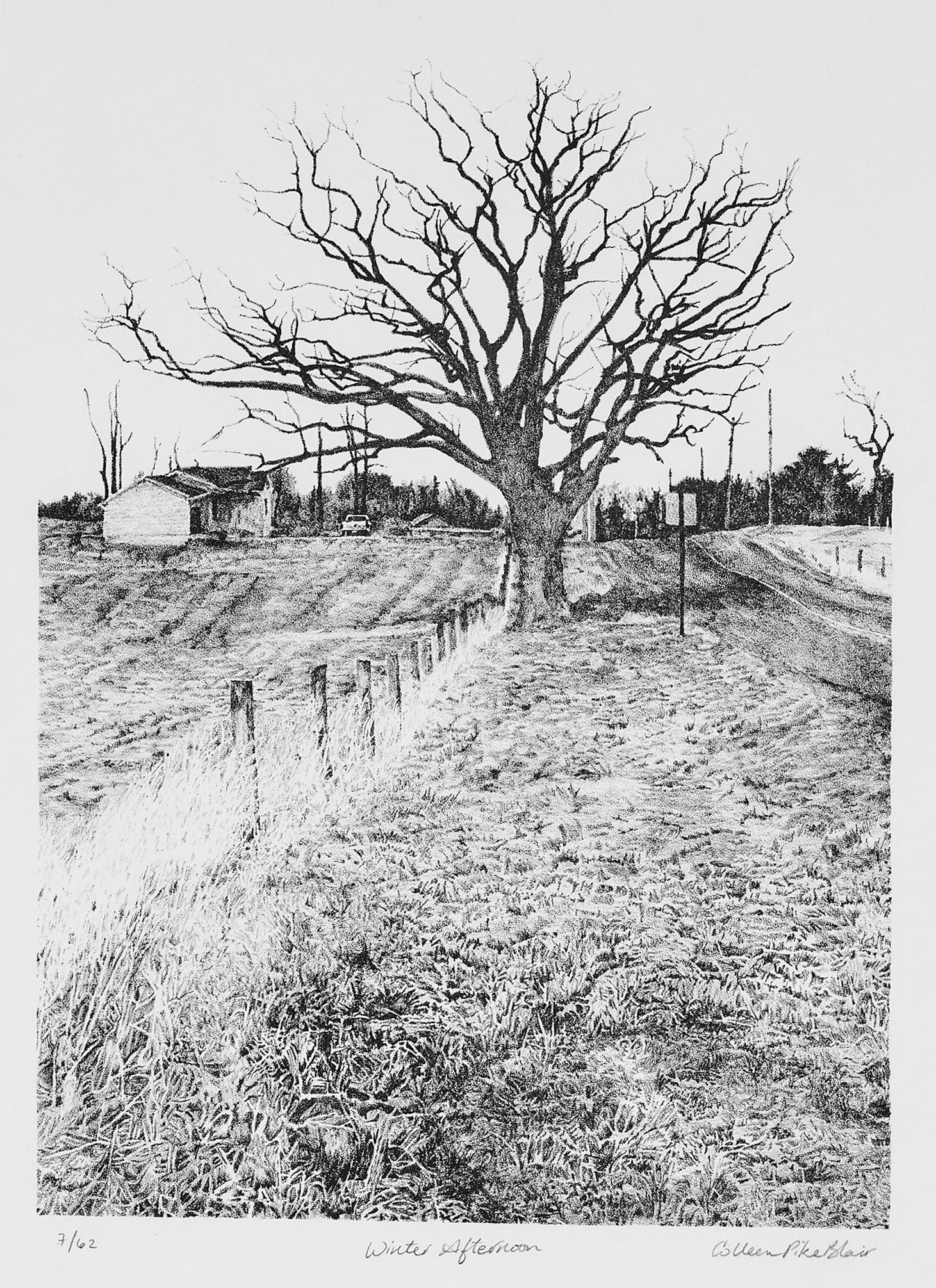 Colleen Pike Blair, Winter Afternoon (1 of 2)