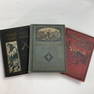 Lot of Early 20th Century Disaster Books