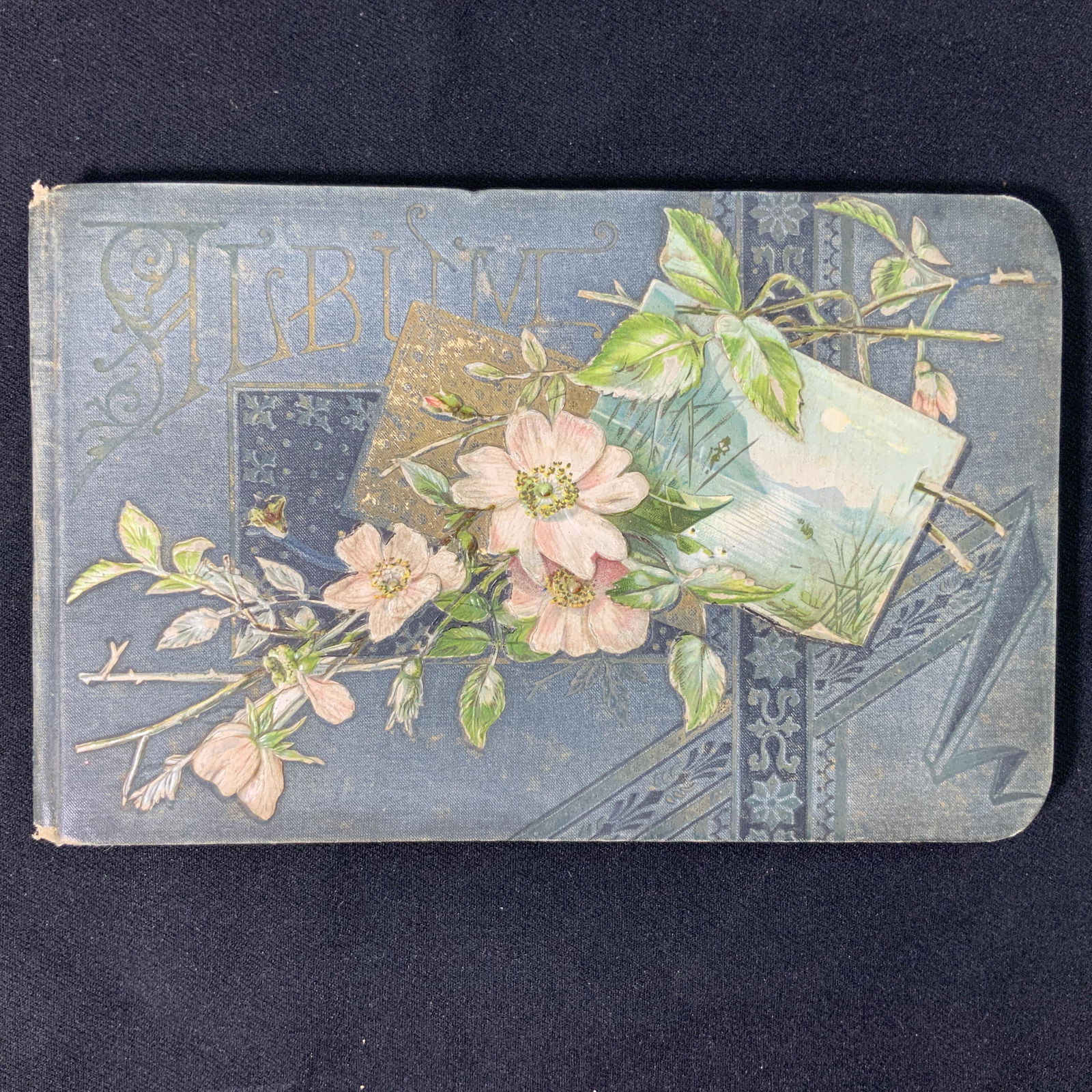 Victorian Autograph Book, 1886-1897 (1 of 7)