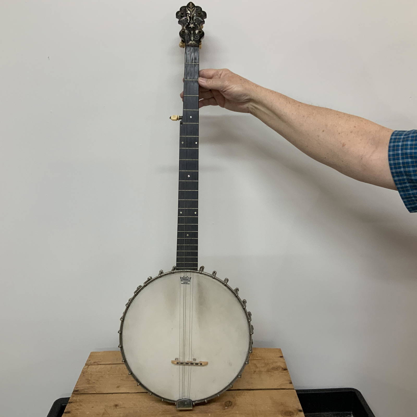 S.s. Stewart Banjo- Special Thoroughbred Auction