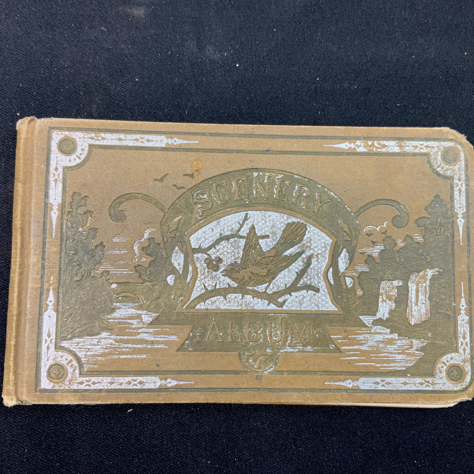Victorian Autograph Book (1 of 3)